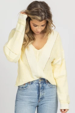 DEE ELLY BUTTER RELAXED V-NECK KNIT SWEATER
