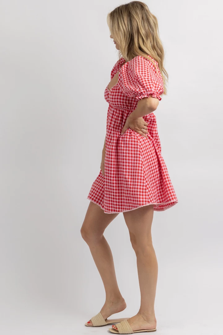 DEE ELLY NEW ARRIVALS STRAWBERRY FIELDS GINGHAM MINI DRESS 6 DEE ELLY NEW ARRIVALS STRAWBERRY FIELDS GINGHAM MINI DRESS